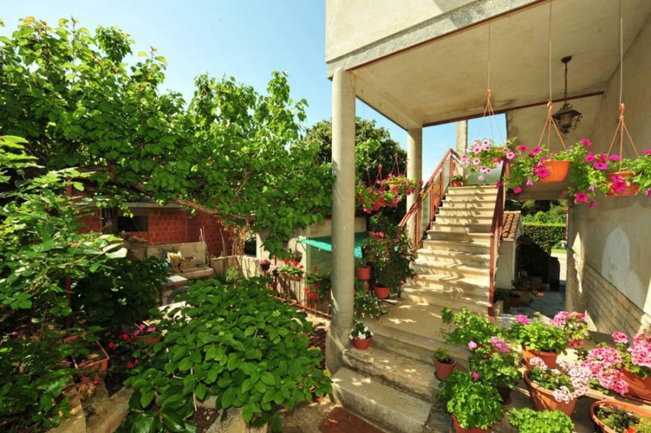 Apartment Patricia Rovinj Kültér fotó